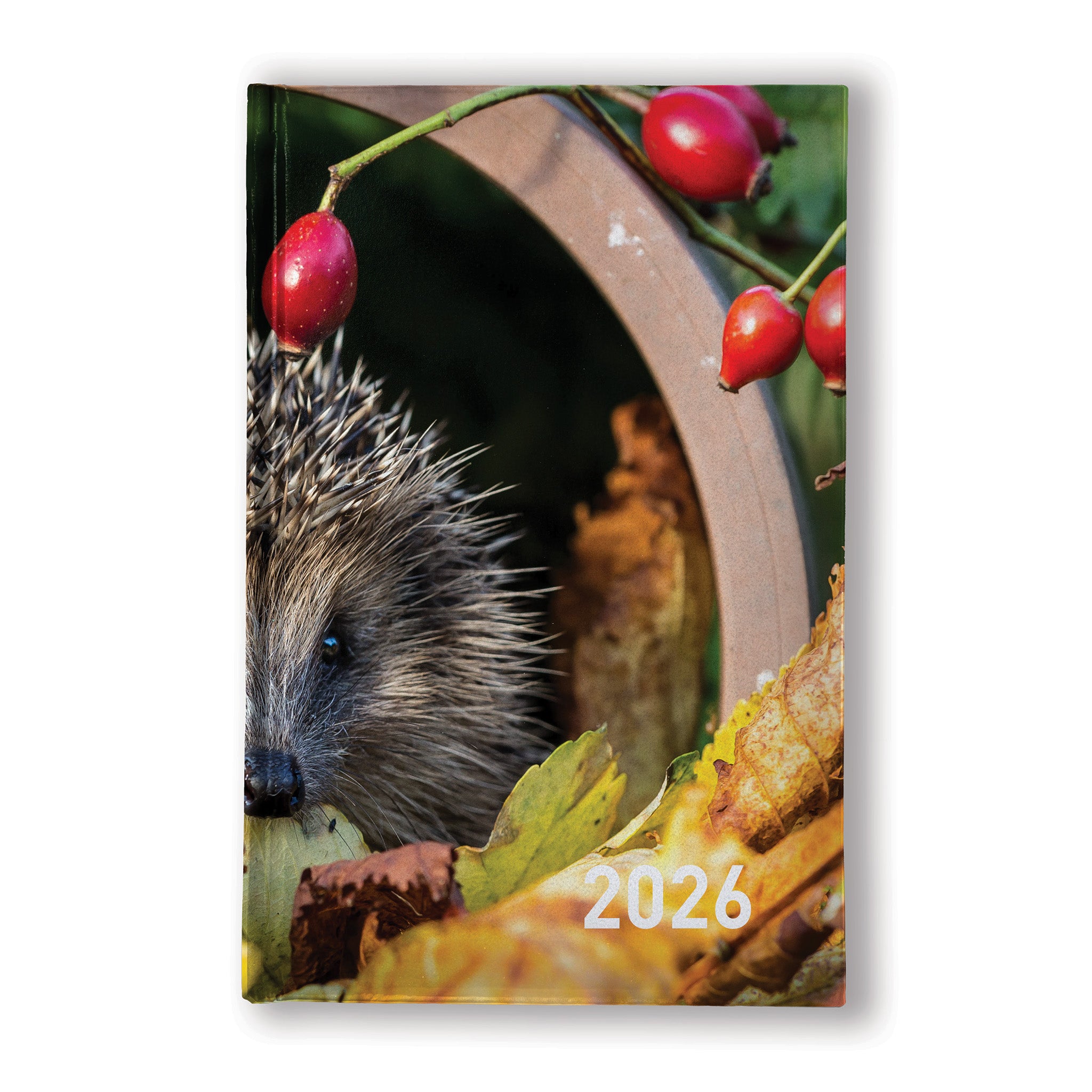 Graphic Prints A5 Diary, Day Per Page, Full Colour