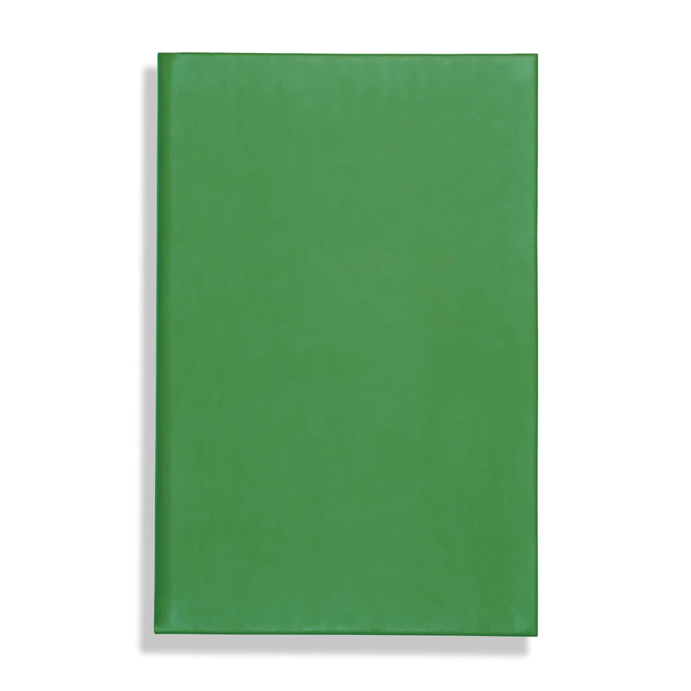 apple-peel-eco-vegan-peel-a5-notebook-feint-ruled-green